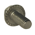 hexagon flange bolt with serrated